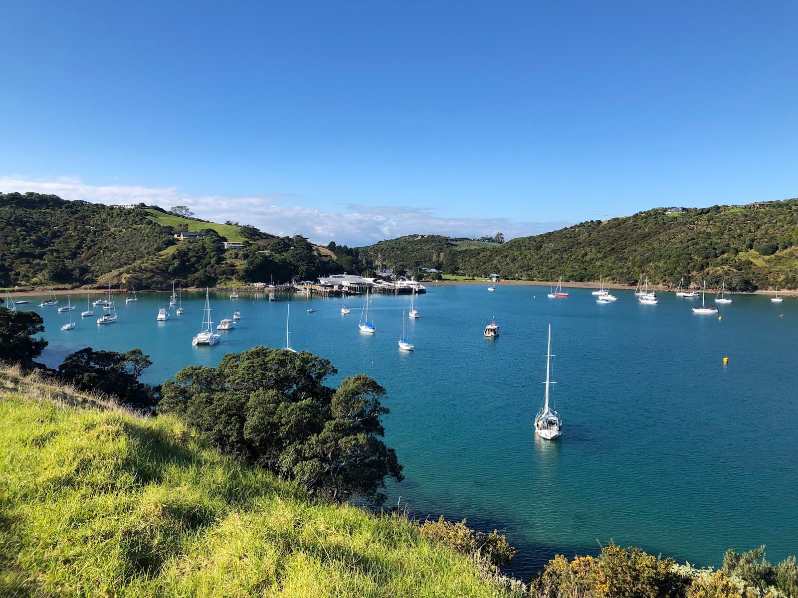 Matiatia Bay - Image 1