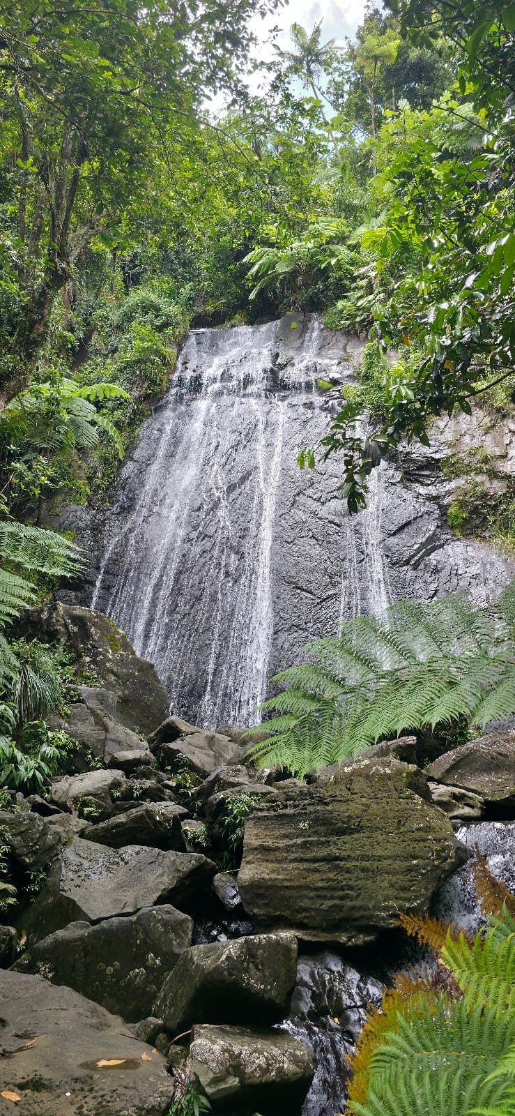 El Yunque Peak Trail Puerto Rico - Image 1