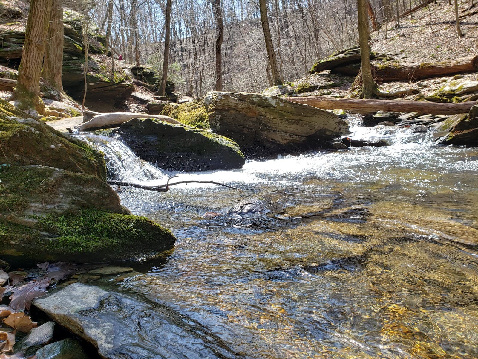 Climber's Run Nature Center - Image 1