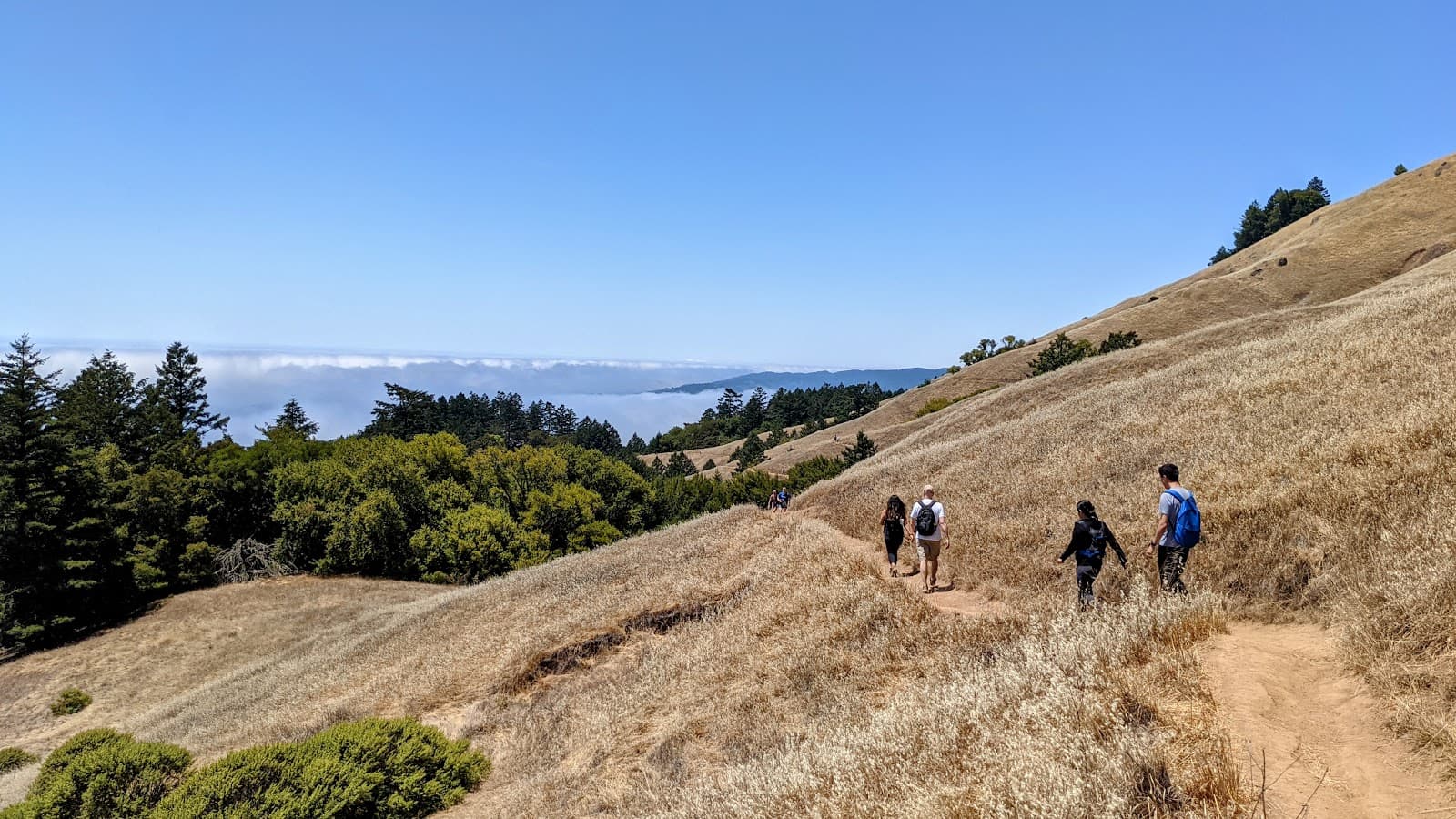 Matt Davis Trail - Image 1