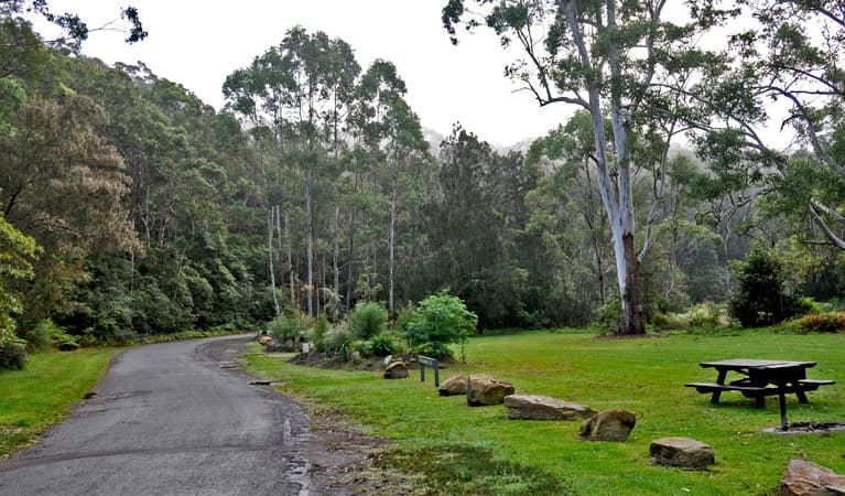 Lane Cove National Park - Image 1