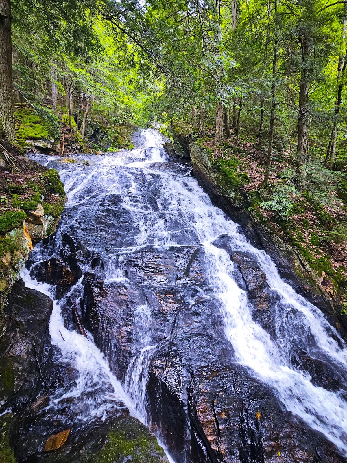 Thundering Brook Falls - Image 1