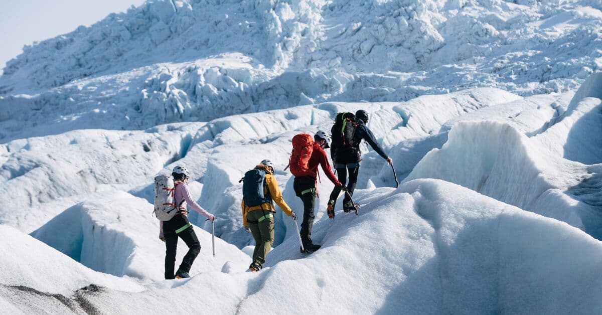 Northern Lights Tours Reykjavik - Image 1