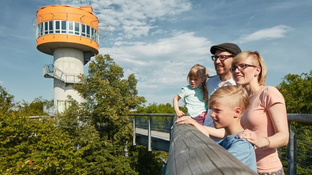 Hainich Treetop Walk - Image 1