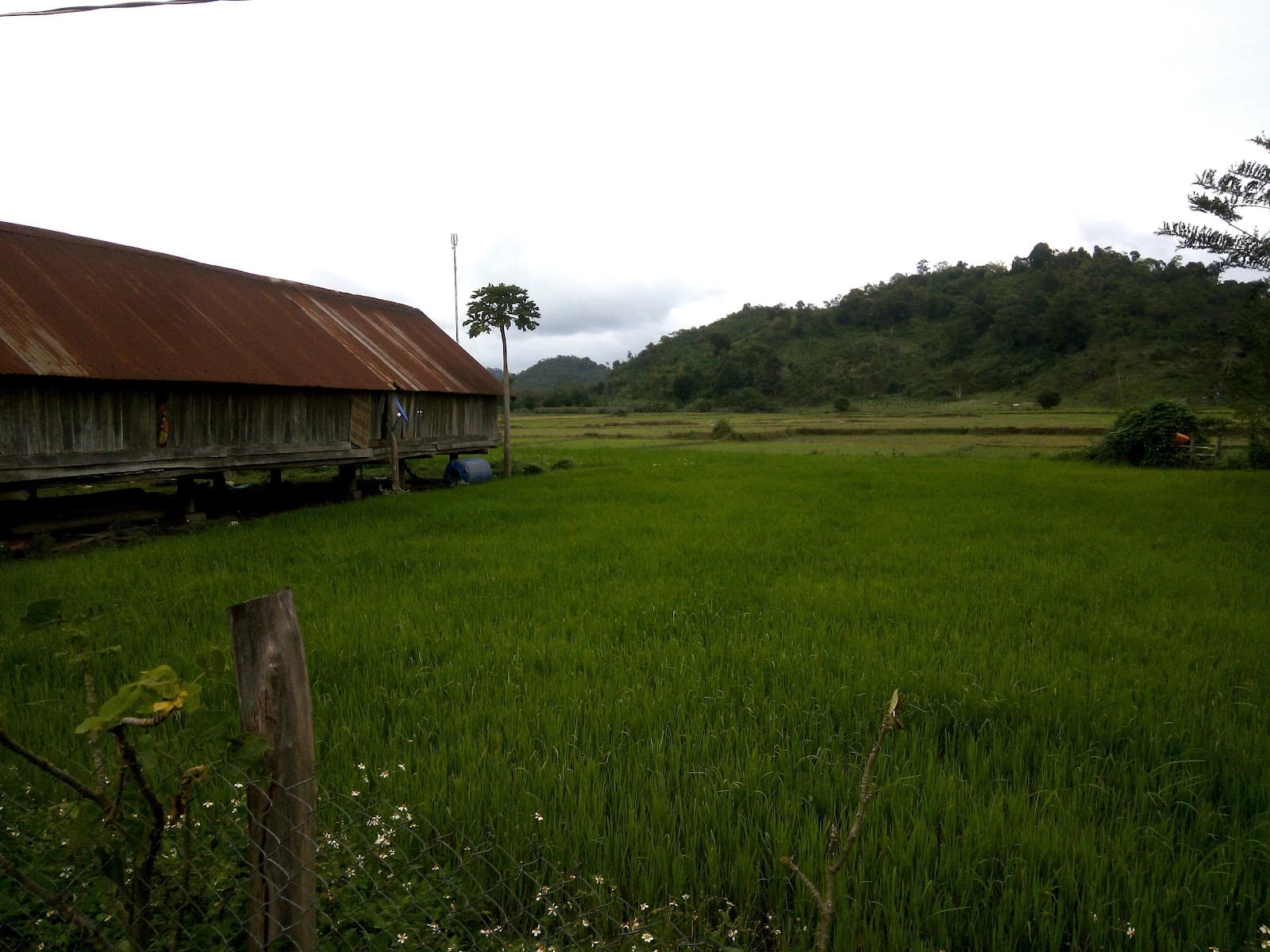 M'Lieng Village - Image 1