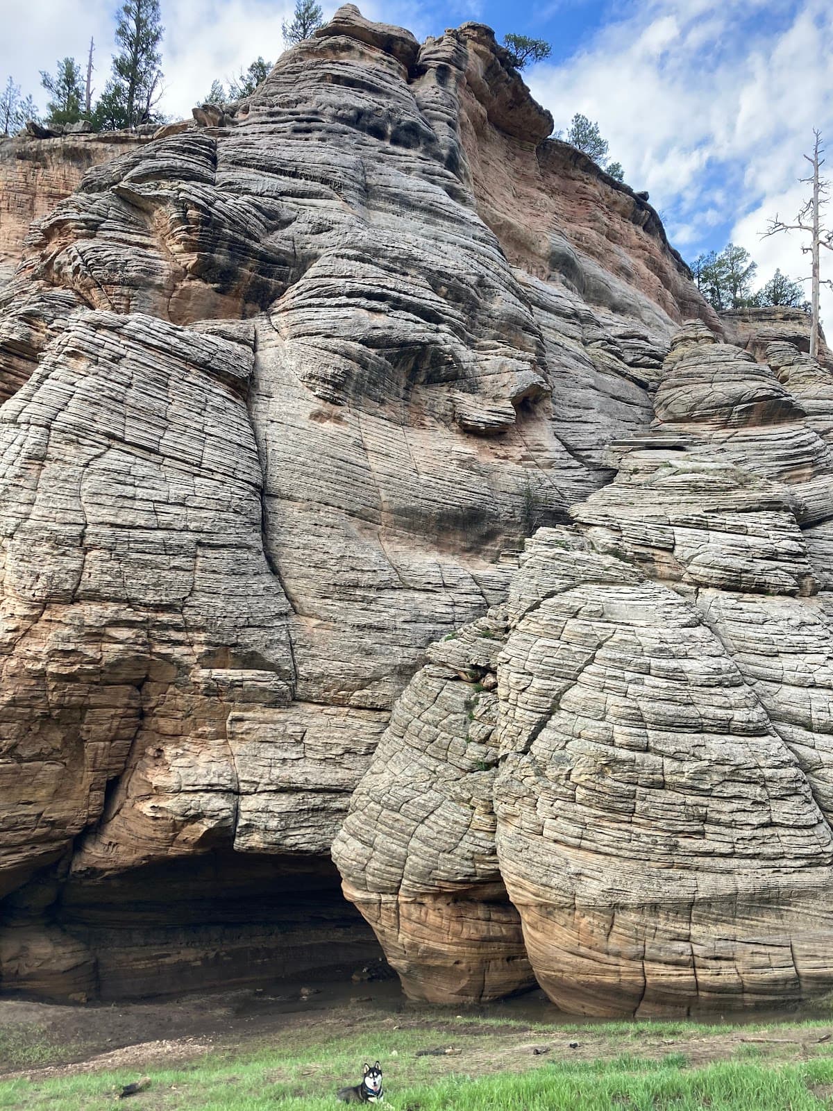 Fisher Point - Image 1