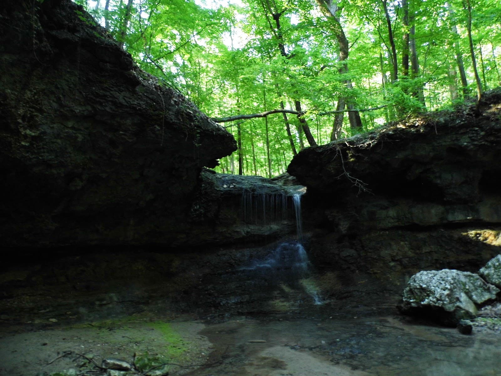 Olin Nature Preserve (The Nature Institute) - Image 1