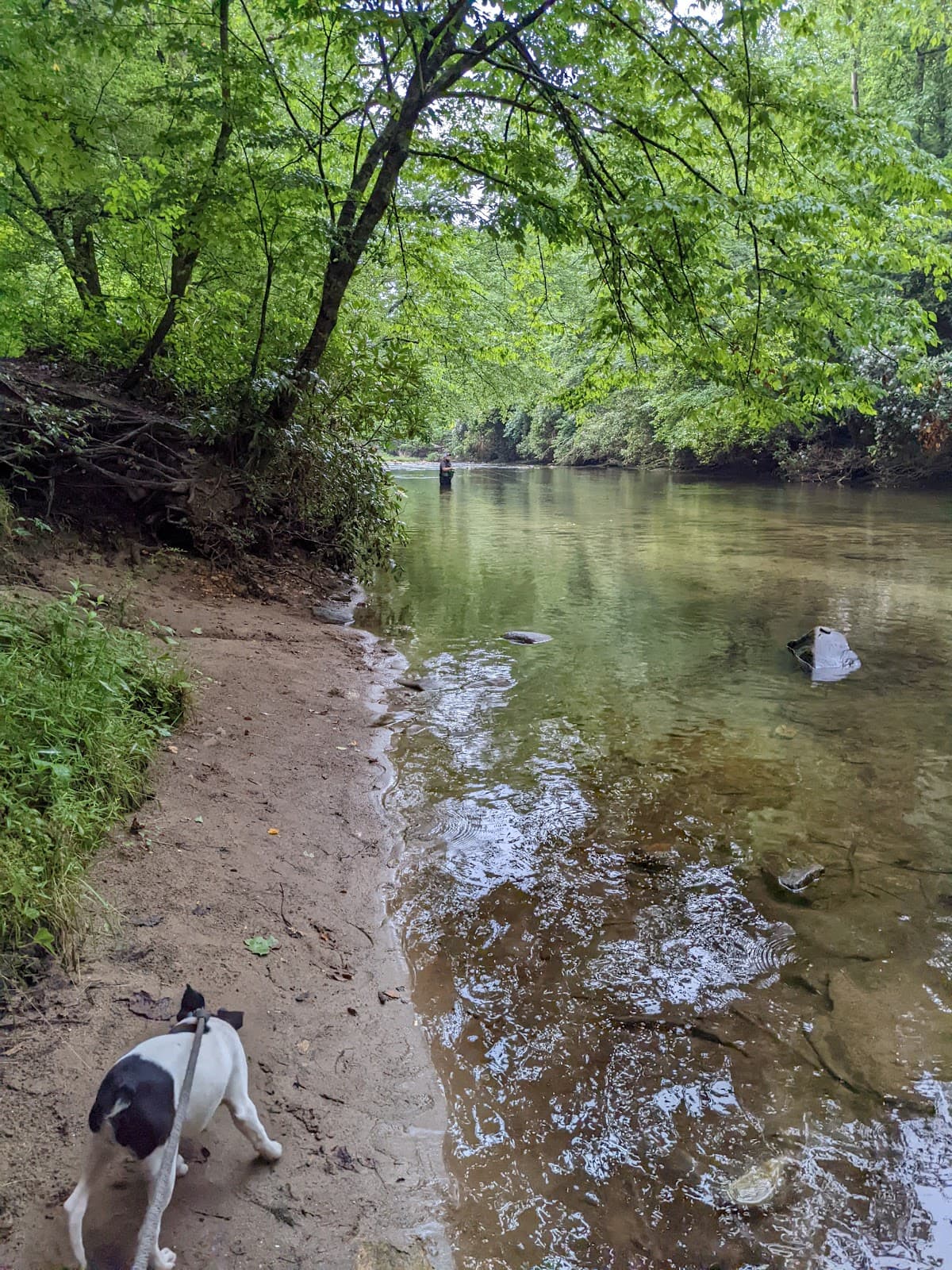 Downtown Brevard - Image 1