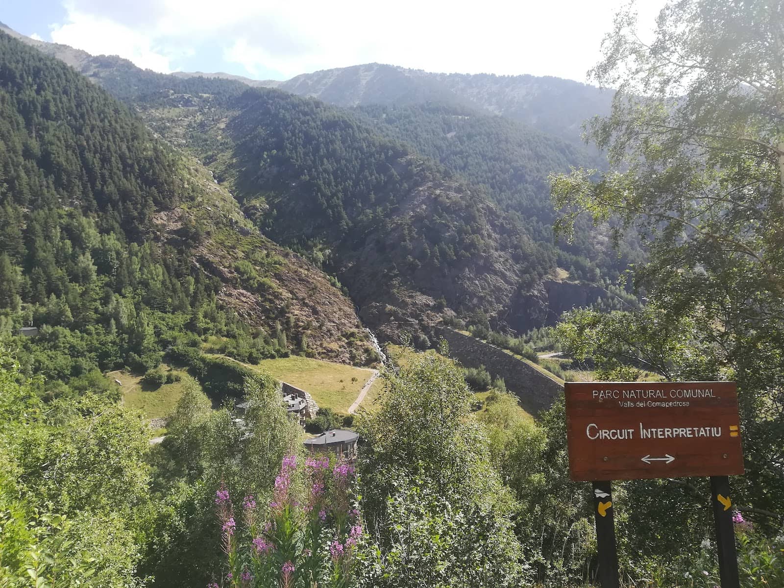 Free Daytime Parking