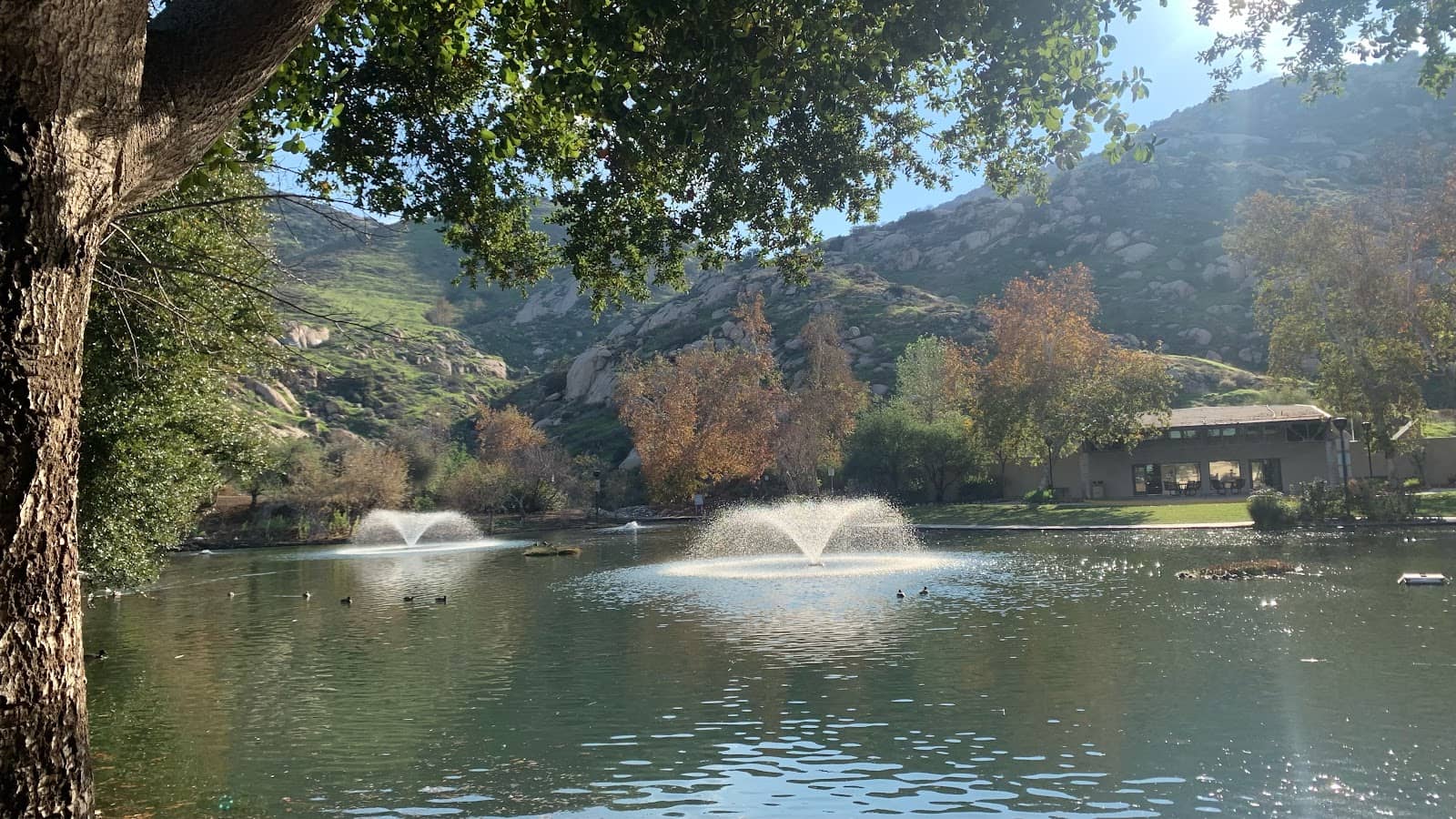 Scenic Hiking Trails