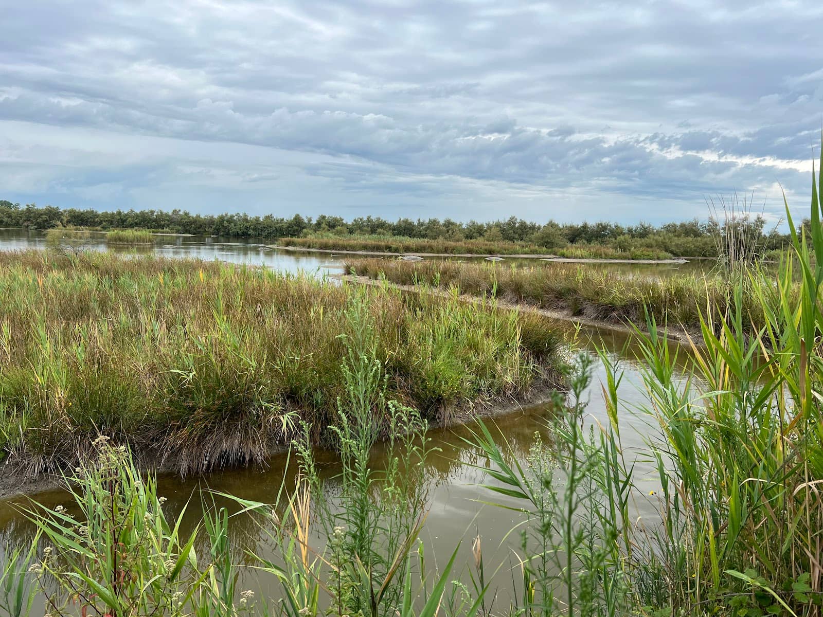 Accessible Nature Walk