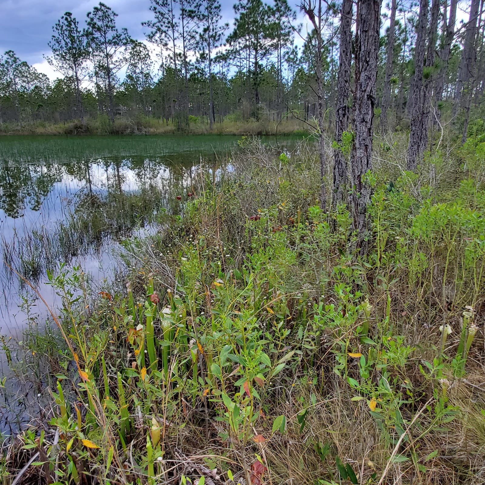 Yellow River Marsh Preserve State Park - Image 1
