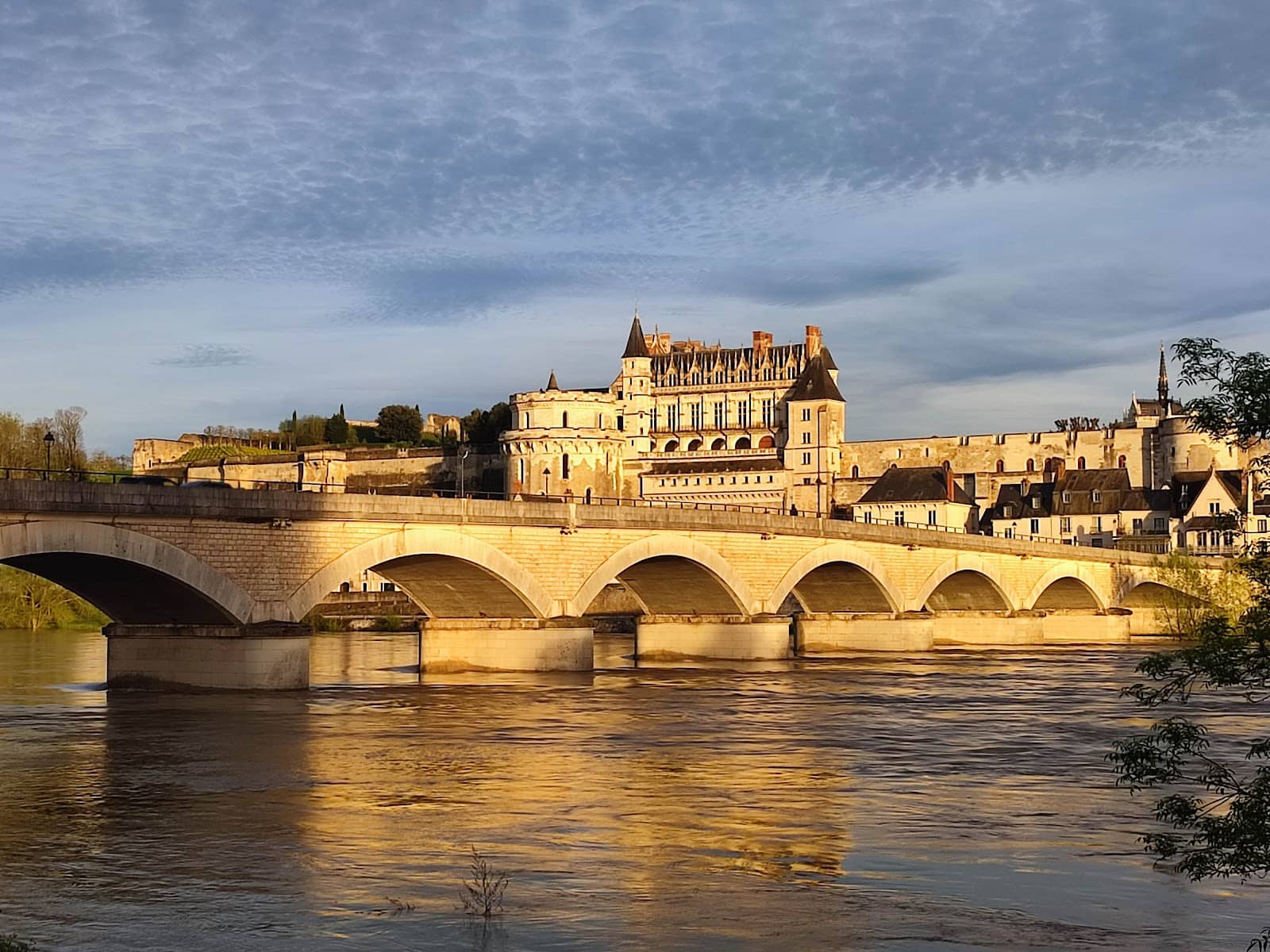 Peaceful Island Stroll