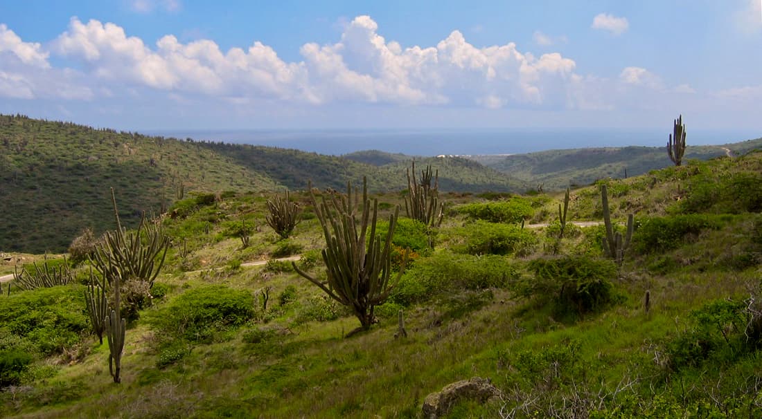 Jamanota Hill Aruba - Image 1