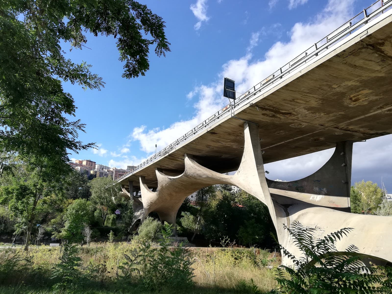 Ponte Musmeci - Image 1