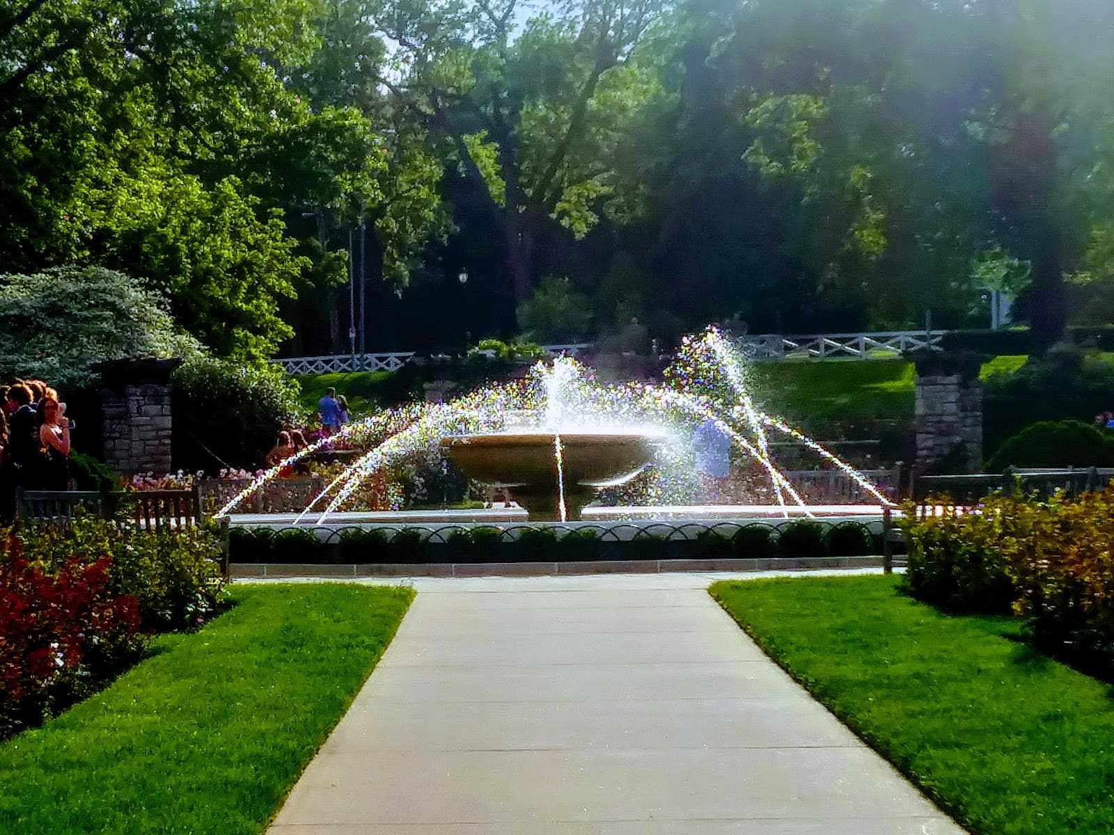 Loose Park Rose Garden - Image 1