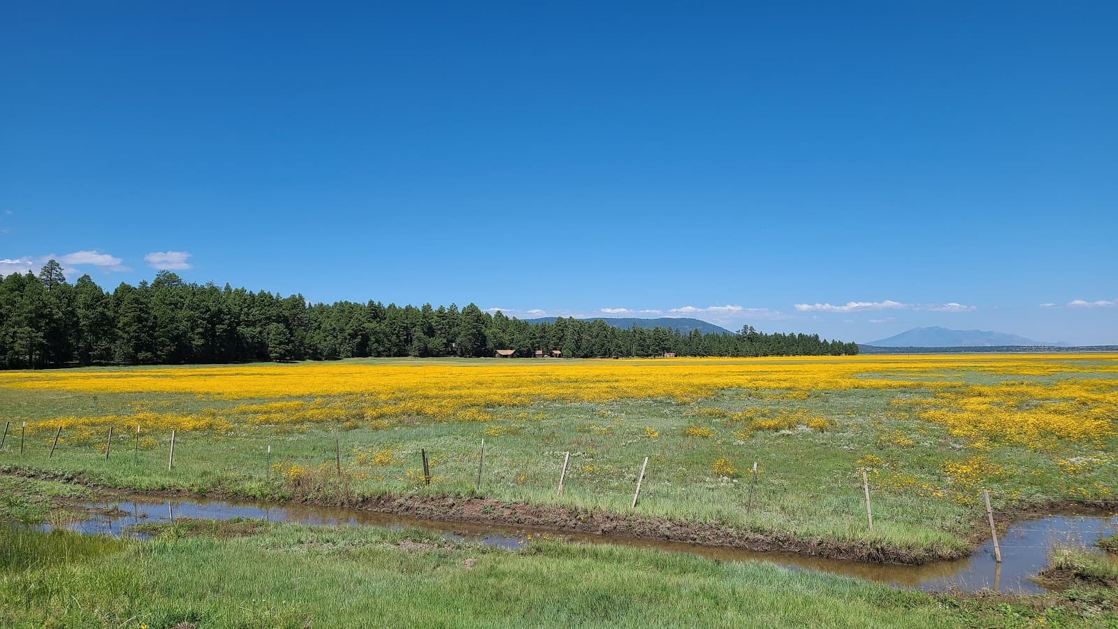 Mormon Lake Arizona - Image 1