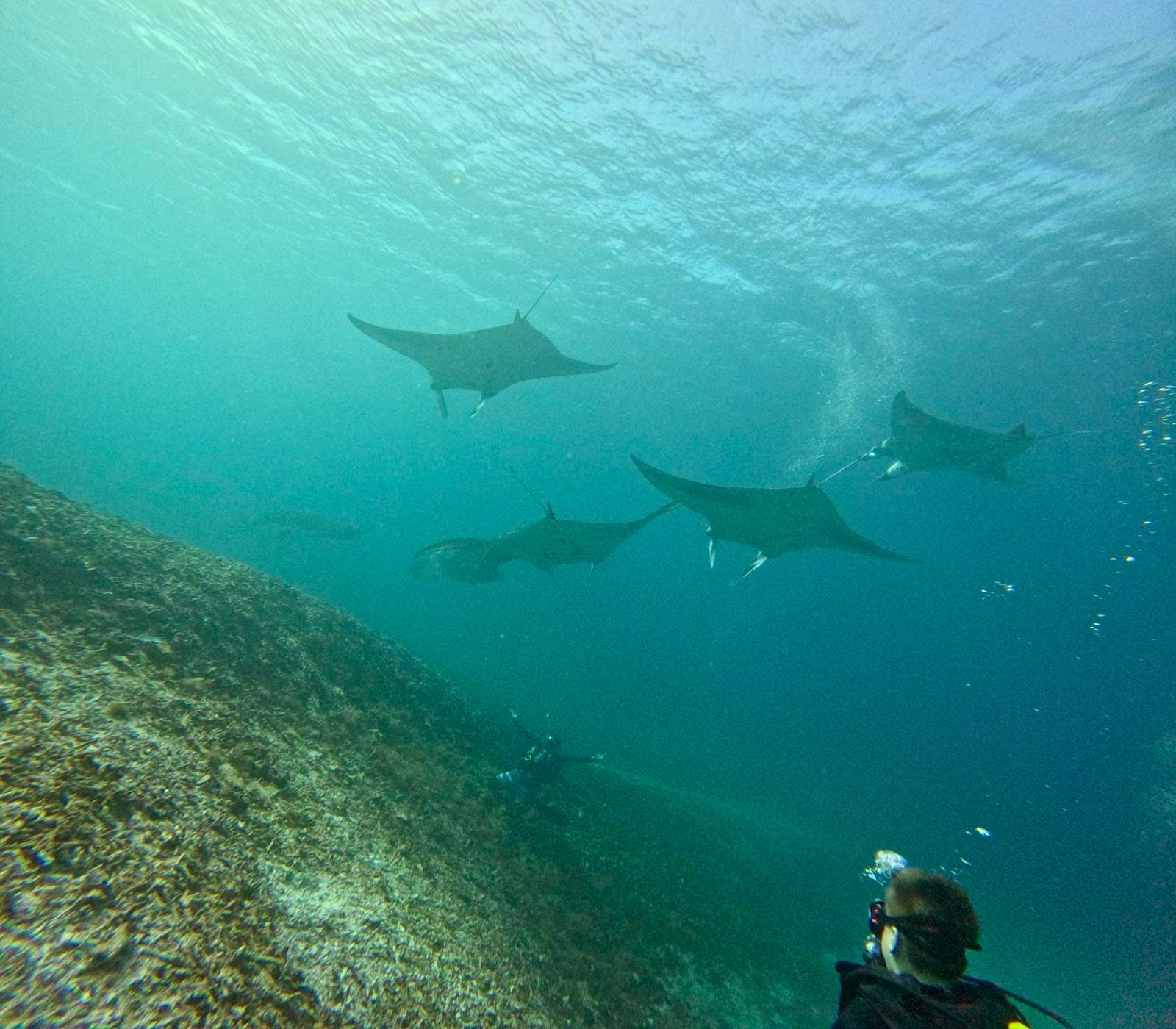 Mawan Dive Site - Image 1