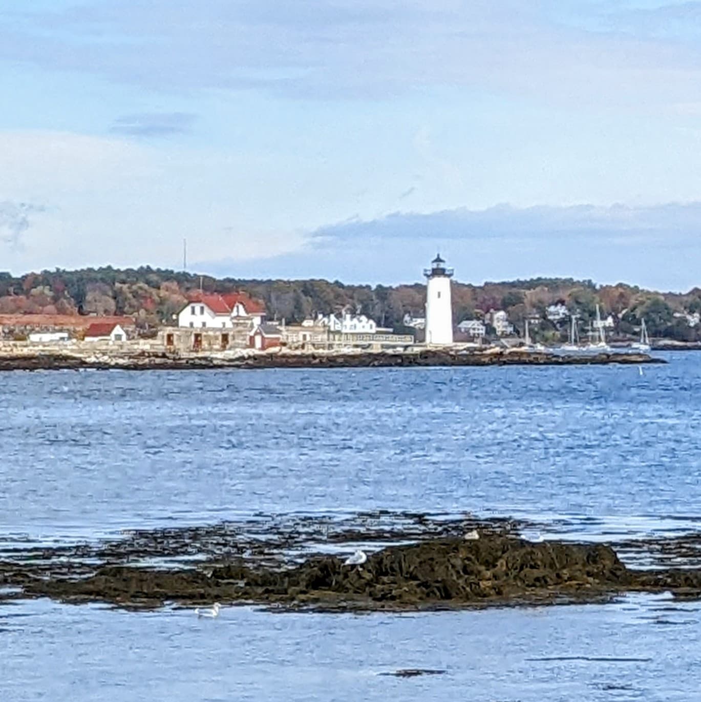 Great Island Common - Image 1