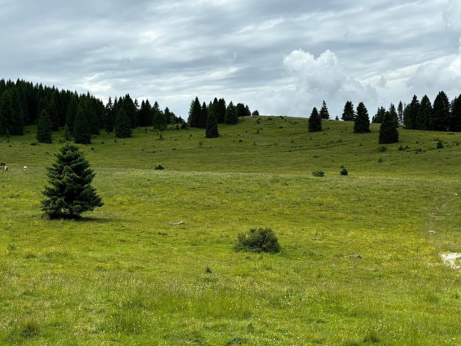 Malga Millegrobbe XC Center - Image 1