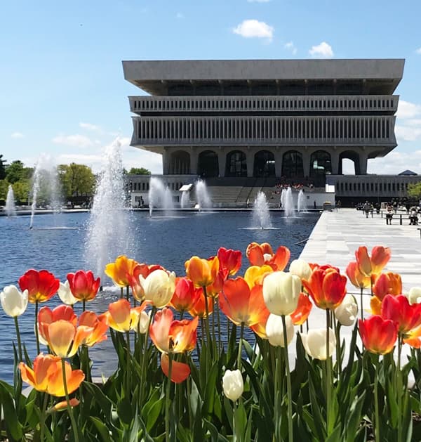 New York State Library - Image 1