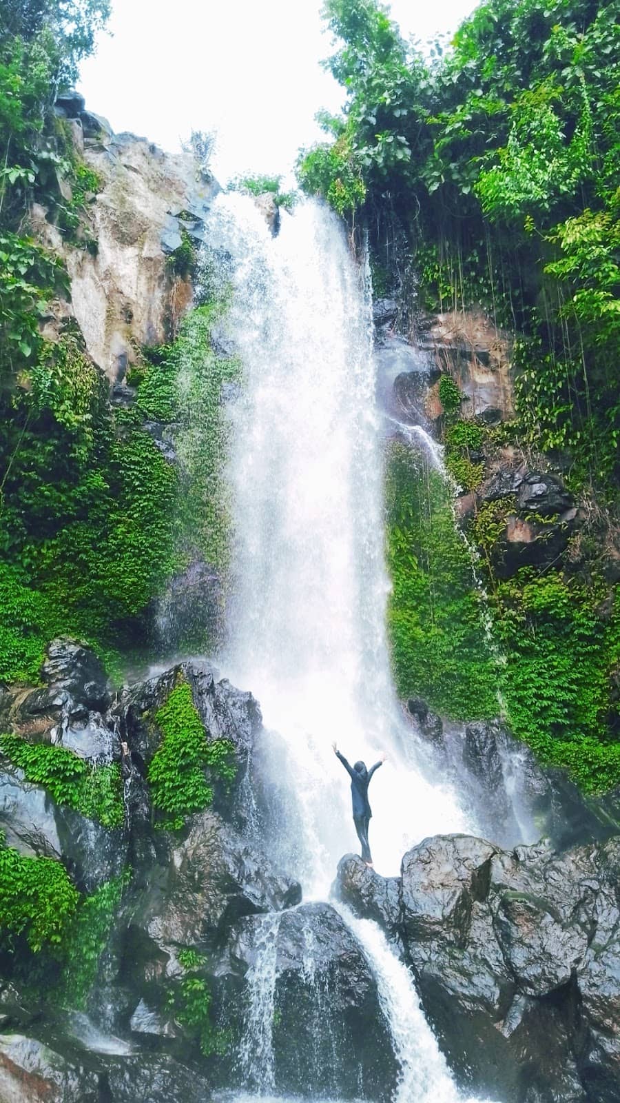 Scenic Trek to the Falls