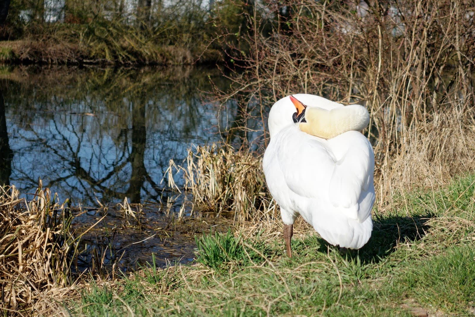 Voie Verte du Canal de Jouy - Image 1