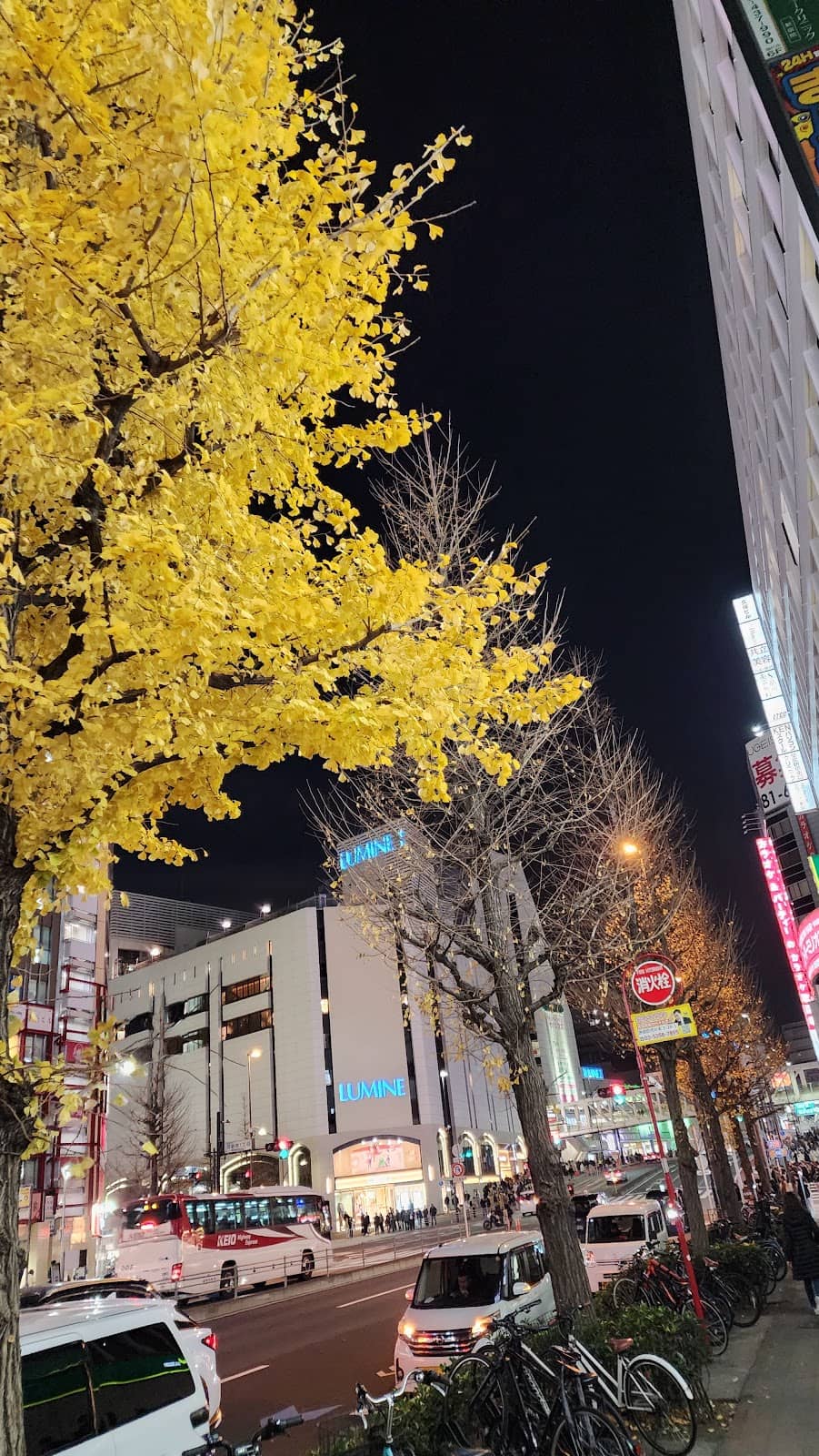 Daikokuya Park Autumn Colors