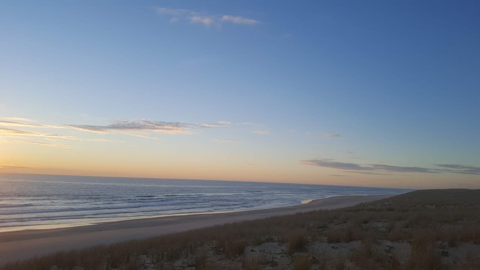 Forêt du Cap Ferret - Image 1