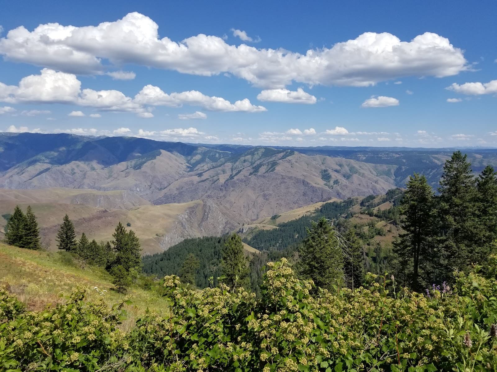 Hells Canyon Overlook - Image 1
