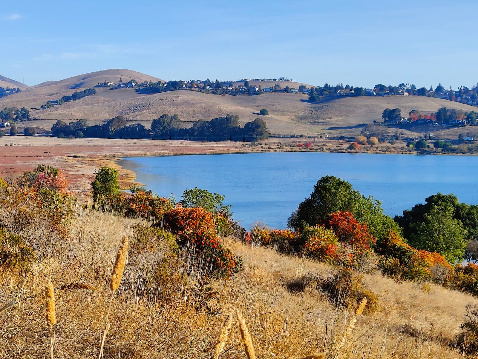 Benicia State Recreation Area - Image 1