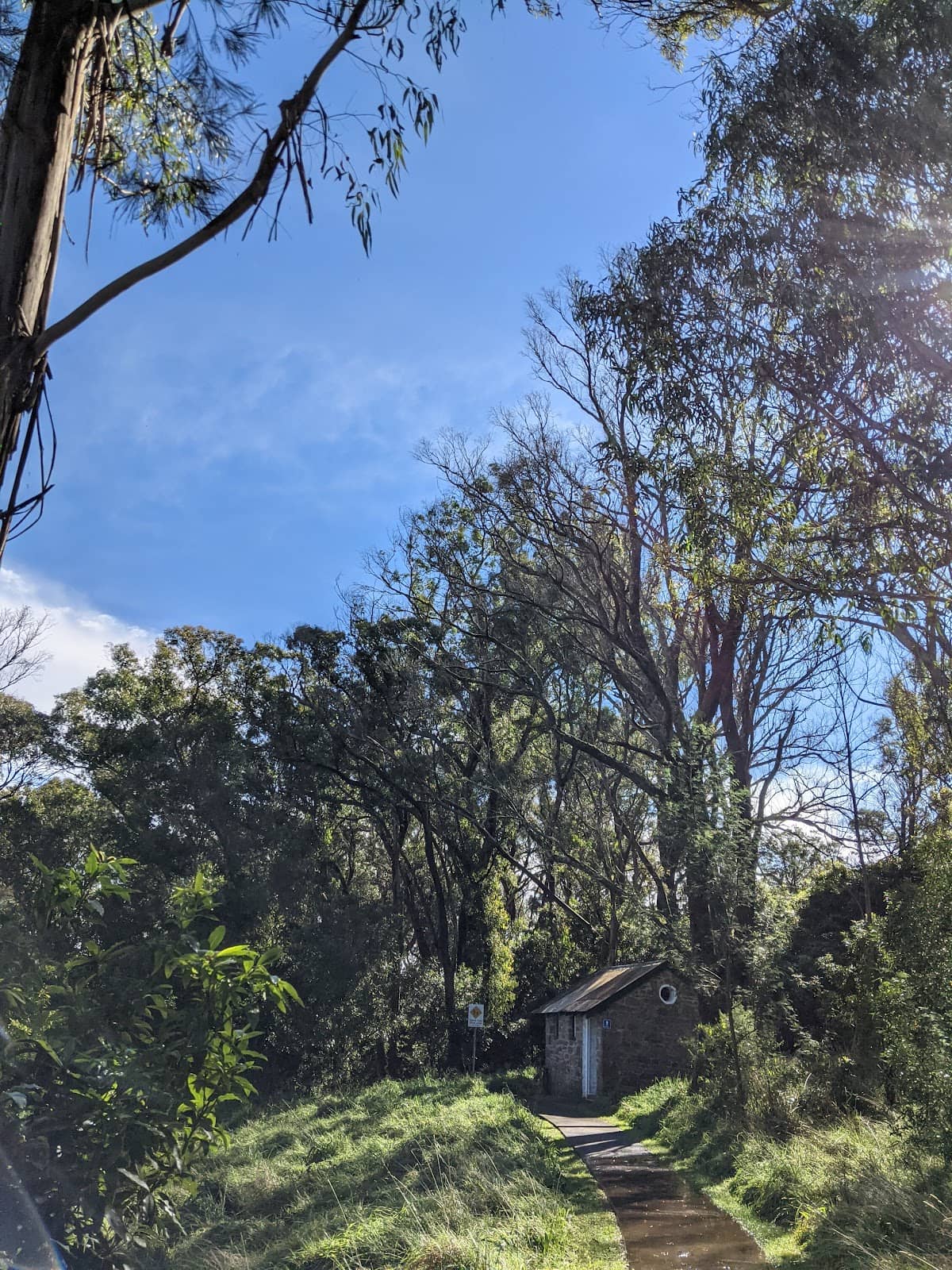 Native Forest Trails