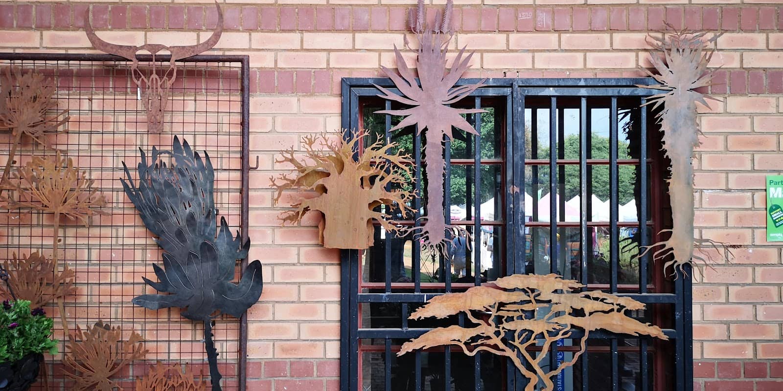 Pet-Friendly Atmosphere