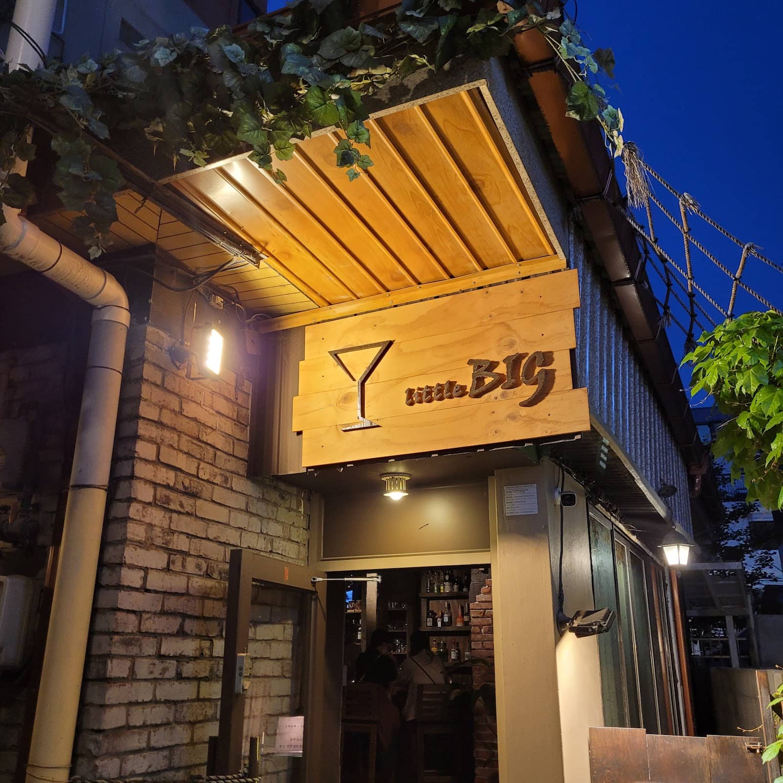 Cosplay and Fan Culture