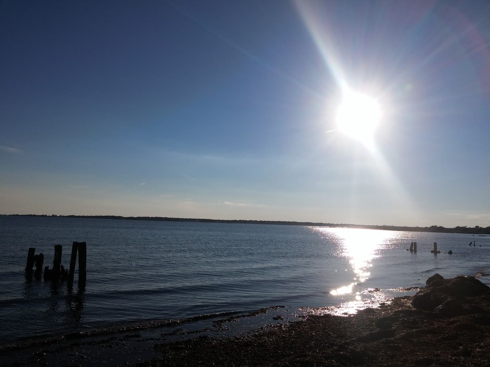 Arlington Vassar Neighborhood - Image 1