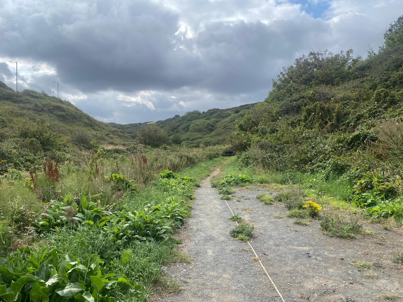 Saltburn Gill Nature Reserve - Image 1