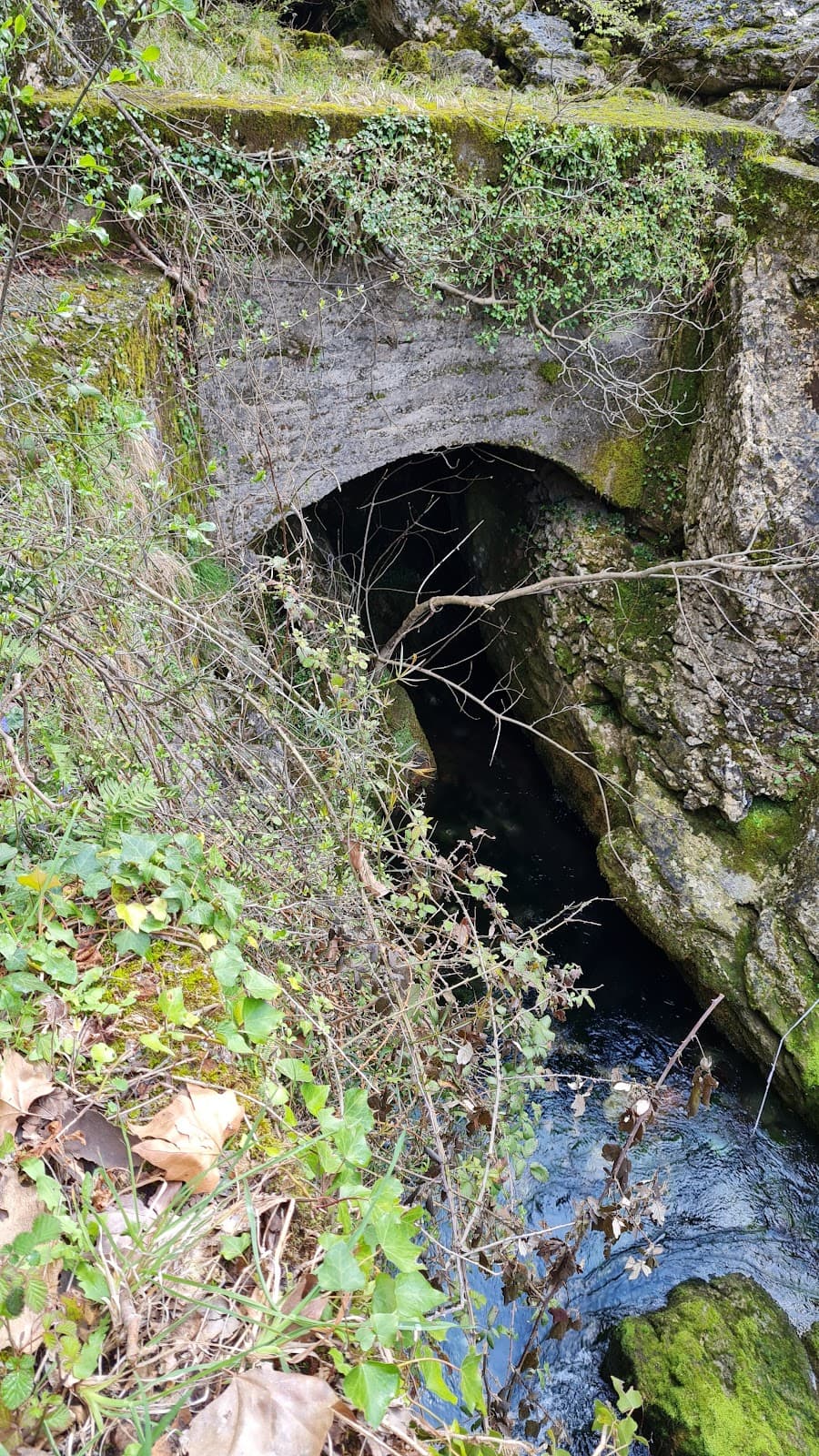 Forno (Frigido Valley) - Image 1