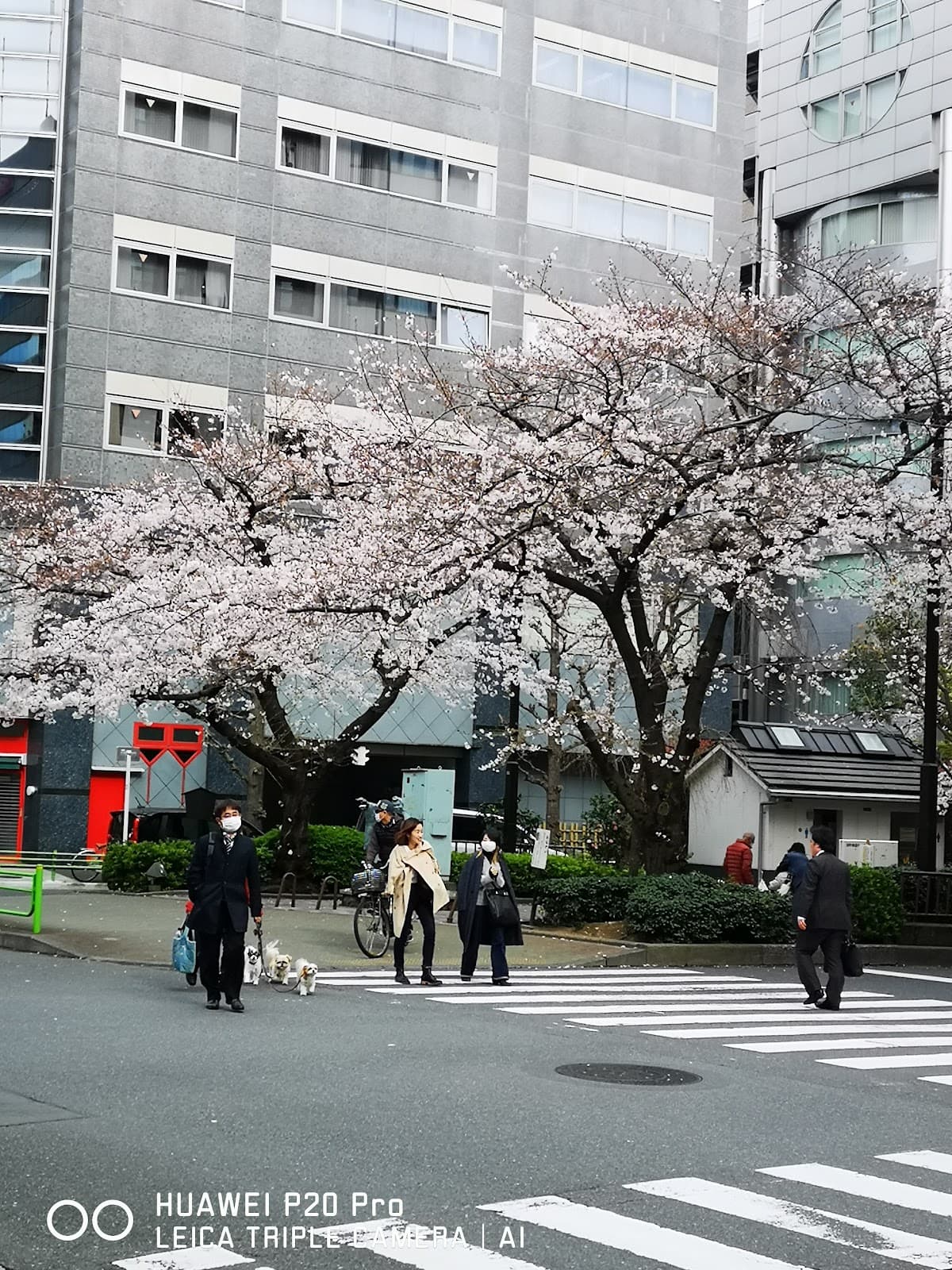 Amazake Yokocho Kawagoe - Image 1