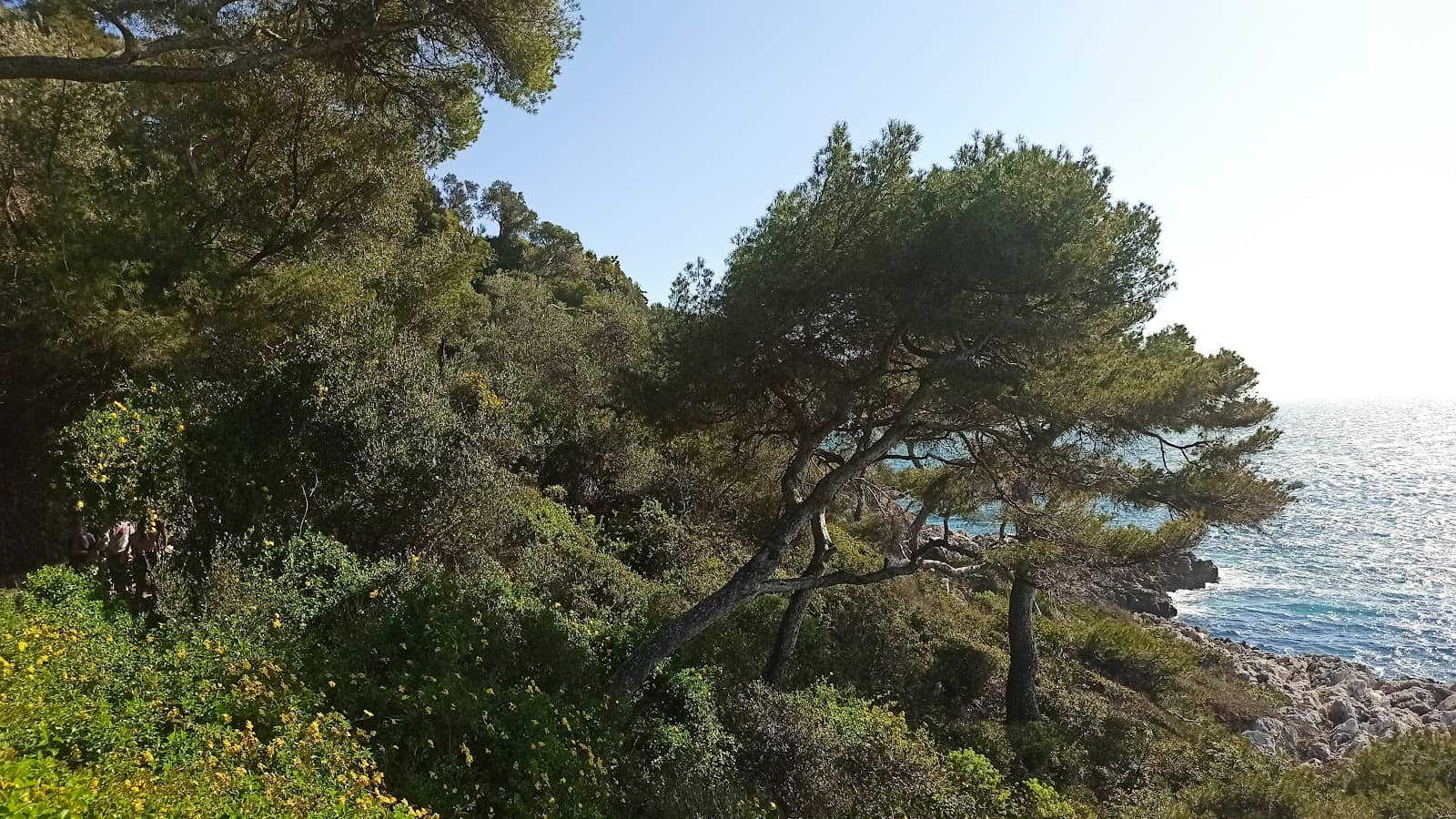 Vertical photo