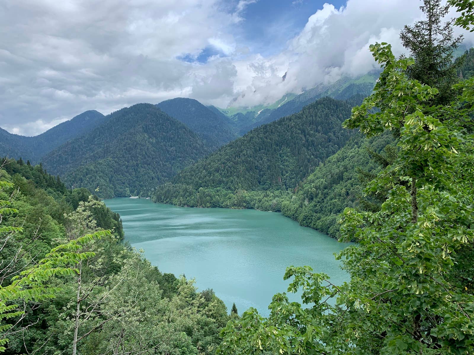 Ritsa National Park Views