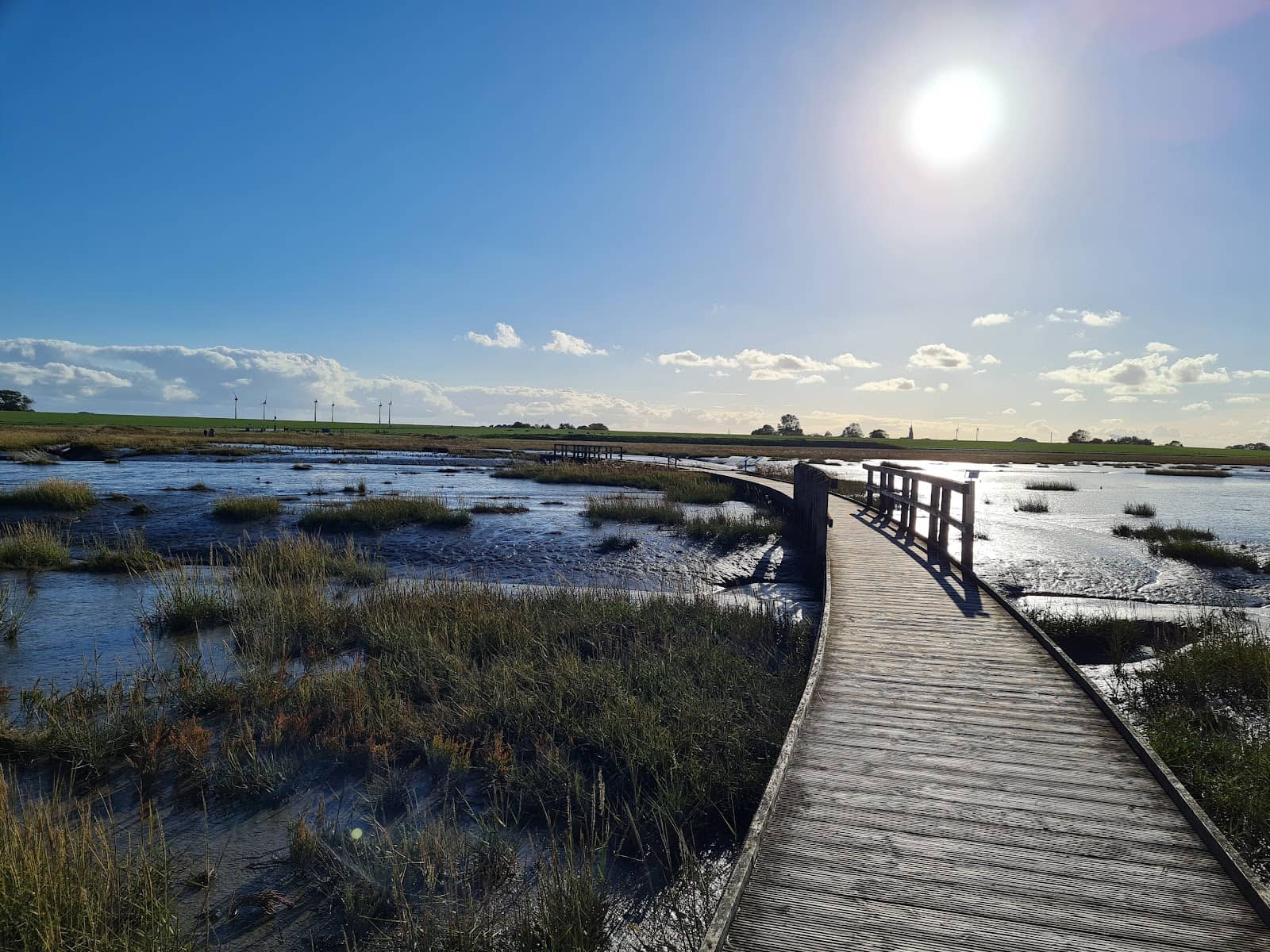 Birdwatching Paradise