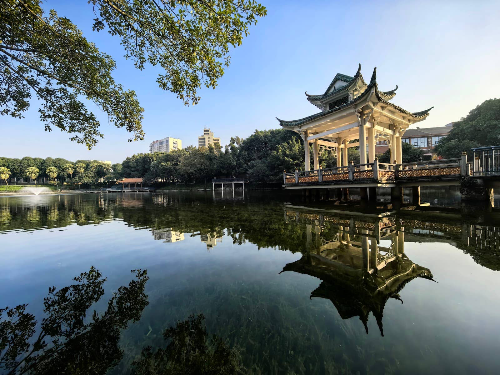 Ceramic Art Displays