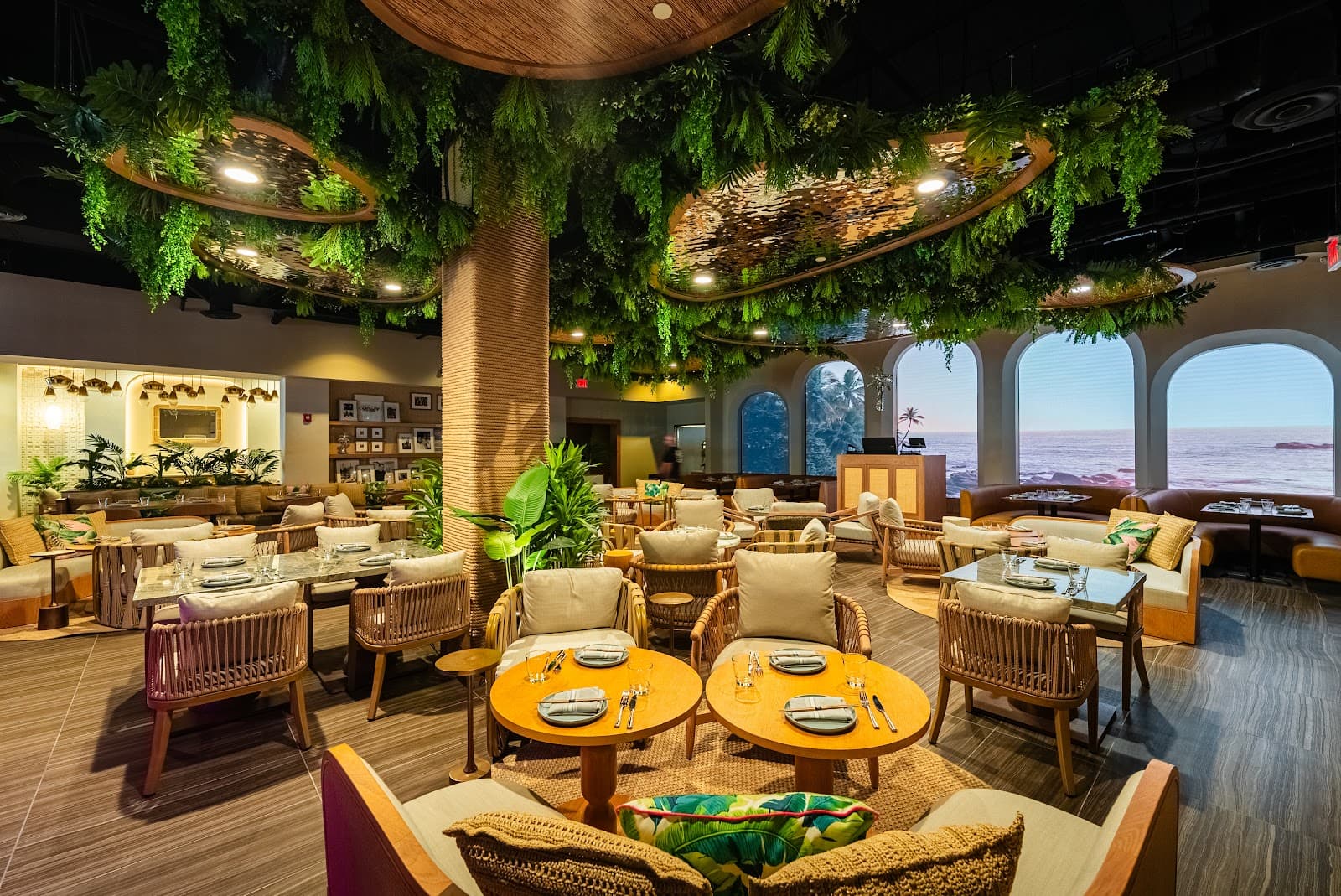 Palm Tree Club - Image 1