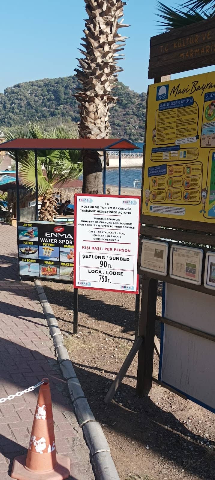 Unique Fish Encounters