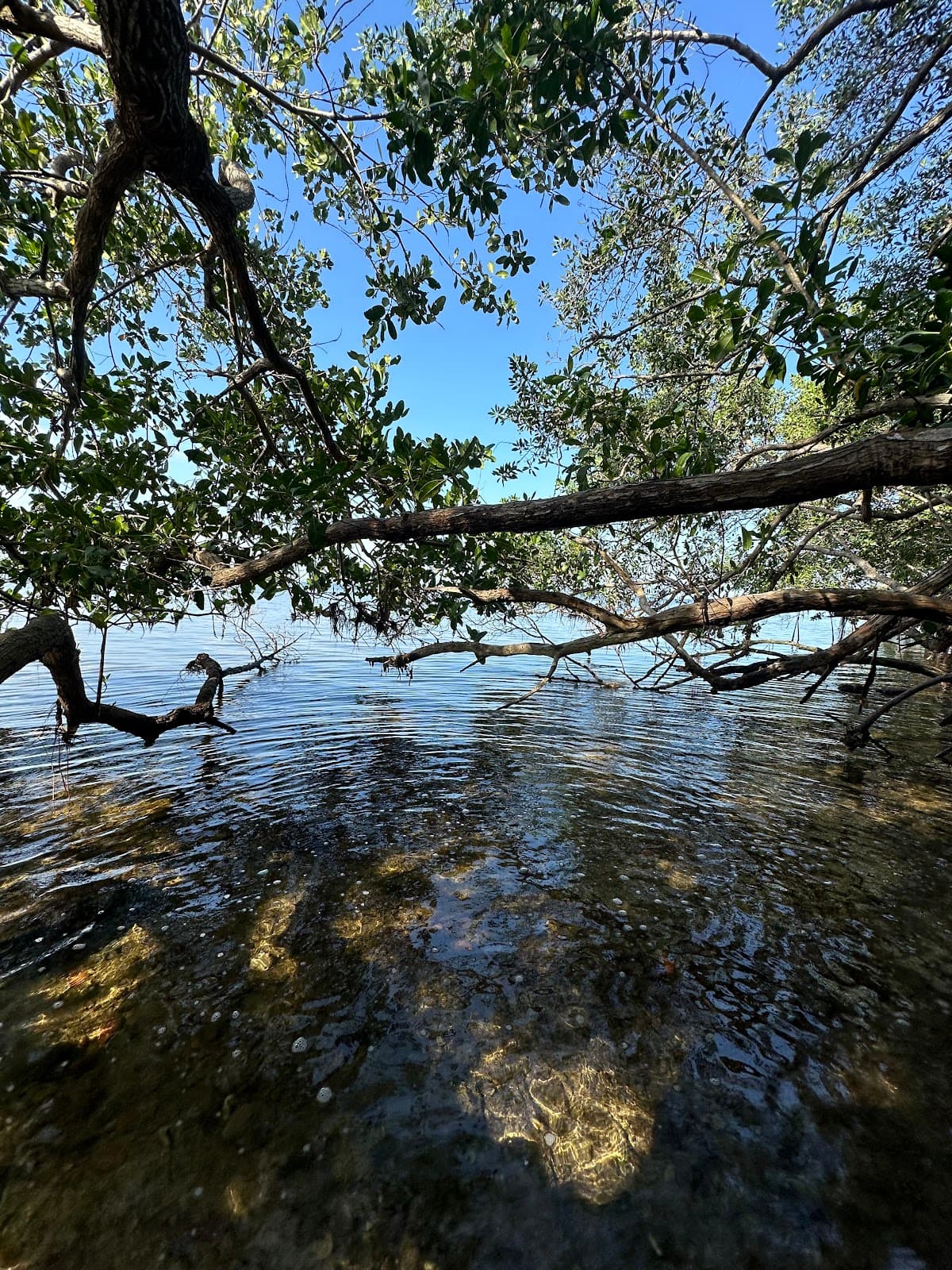 Convoy Point Trail - Image 1