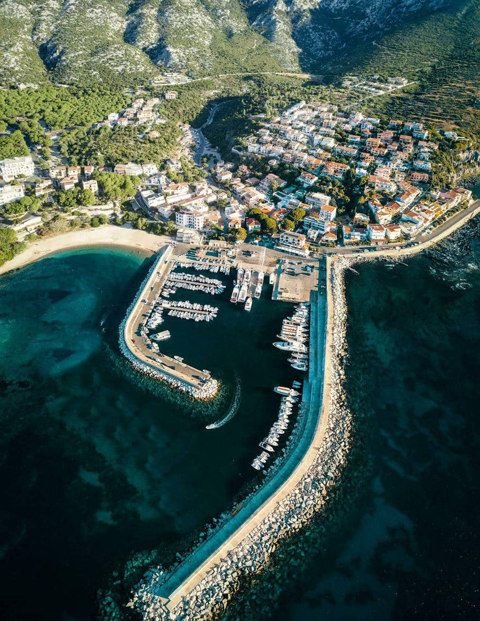 Marine Life Aquarium