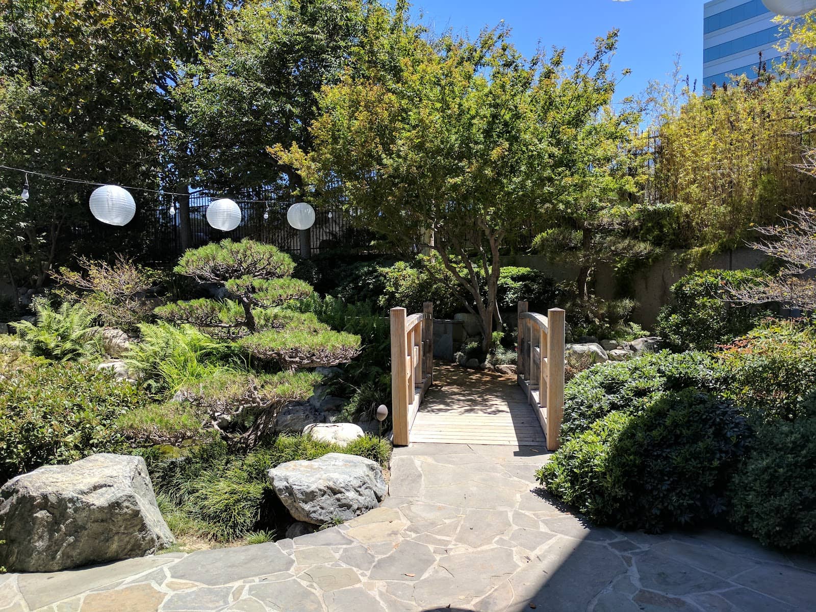 Afternoon Tea Experience