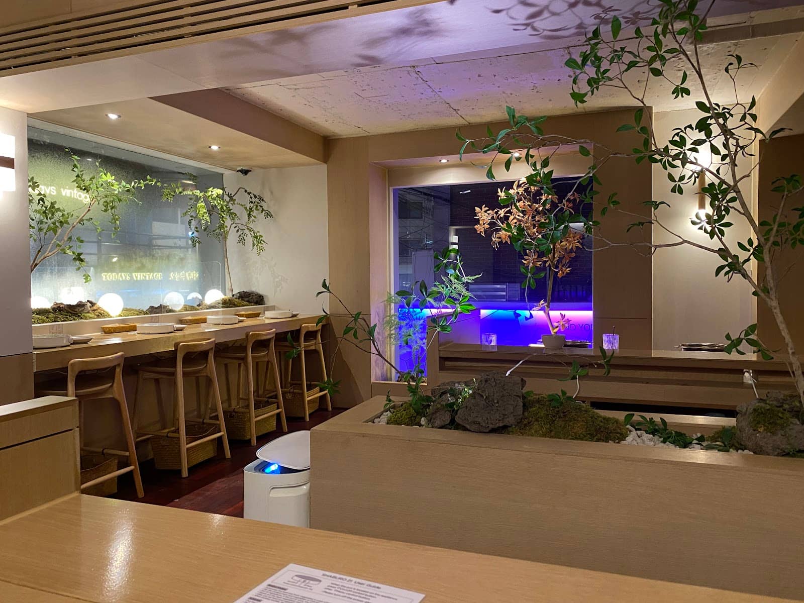 Modern & Calming Ambiance