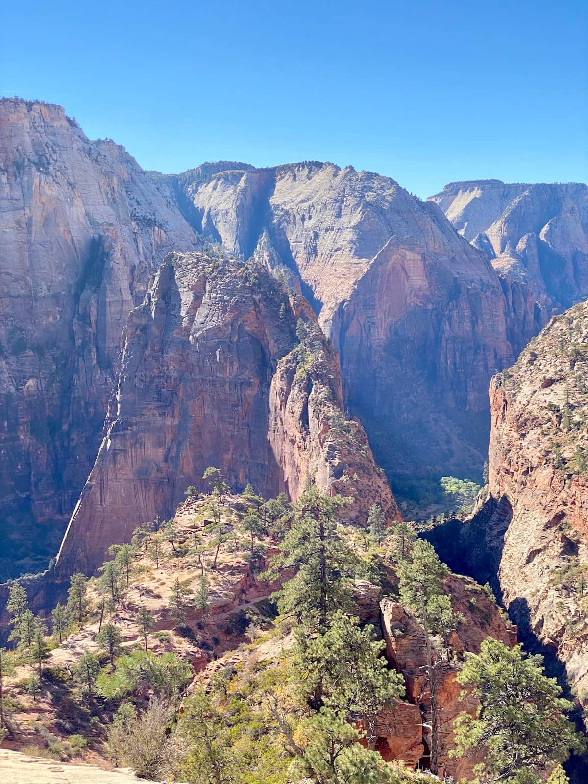 Beyond Scout Lookout