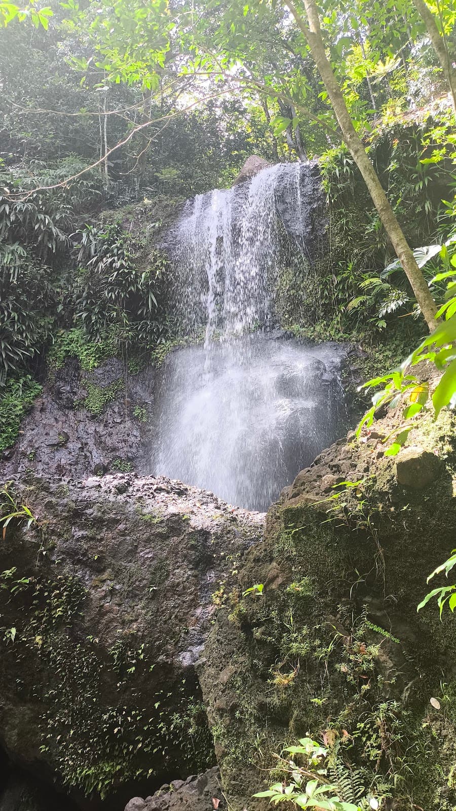 Sofaïa sulfur springs - Image 1